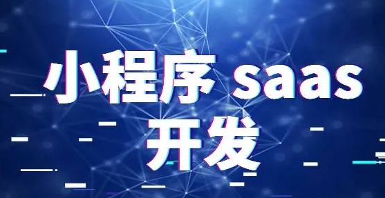 電商小程序SaaS平臺(tái)